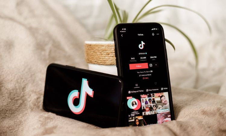 tiktok seo for musicians